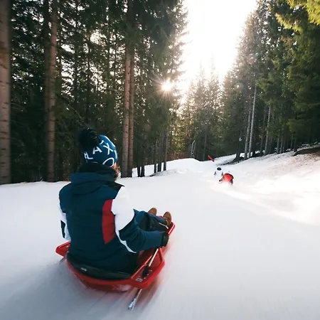 شقة 2 Pieces Pour 4 Pers. Avec Balcon, Skis Aux Pieds, Centre La Tania, Pres Des Remontees Mecaniques. - Fr-1-182a-31 *