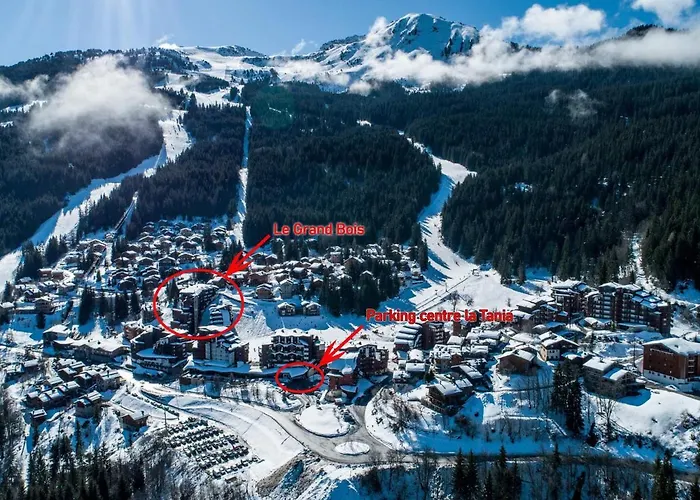 Confortable 2 Pieces, Skis Aux Pieds, Proche Commerces - Fr-1-182a-31